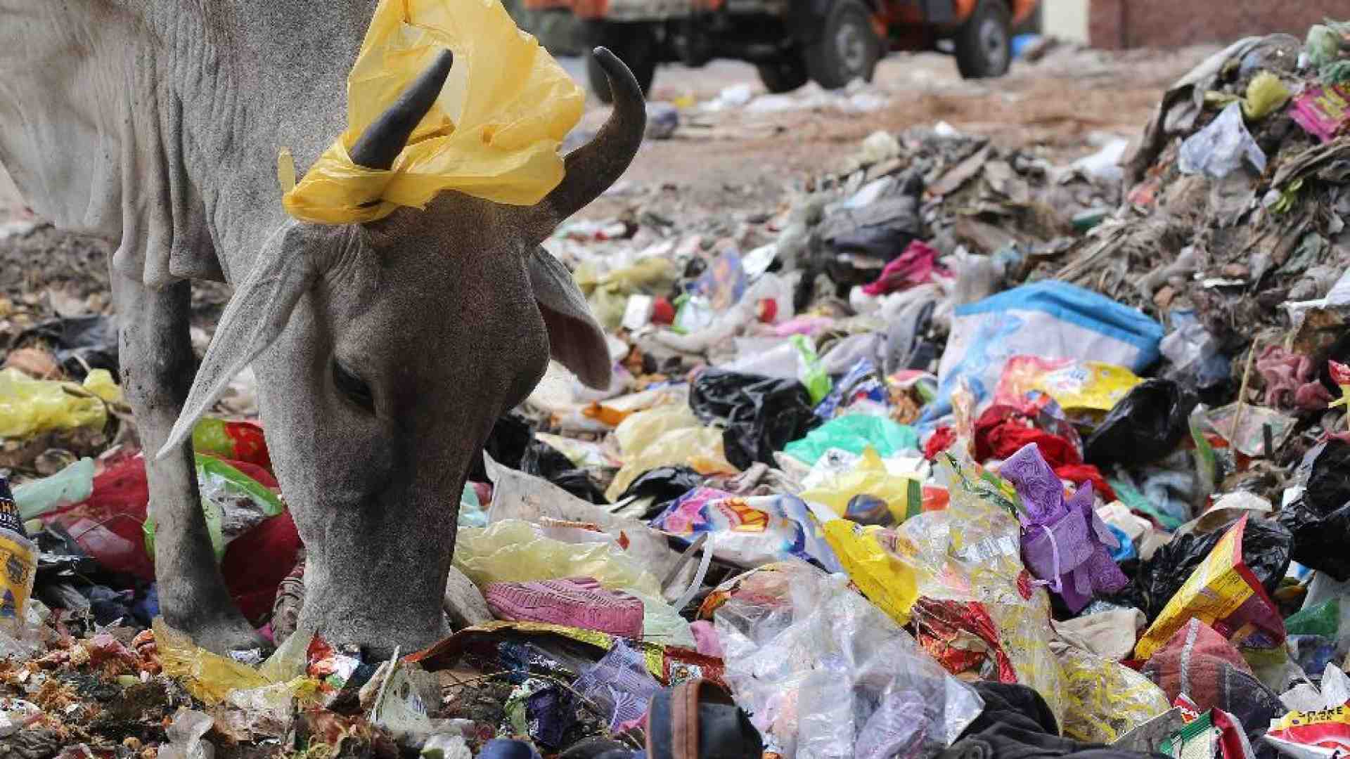 Immagine di È l'India il Paese che più inquina al mondo per la plastica