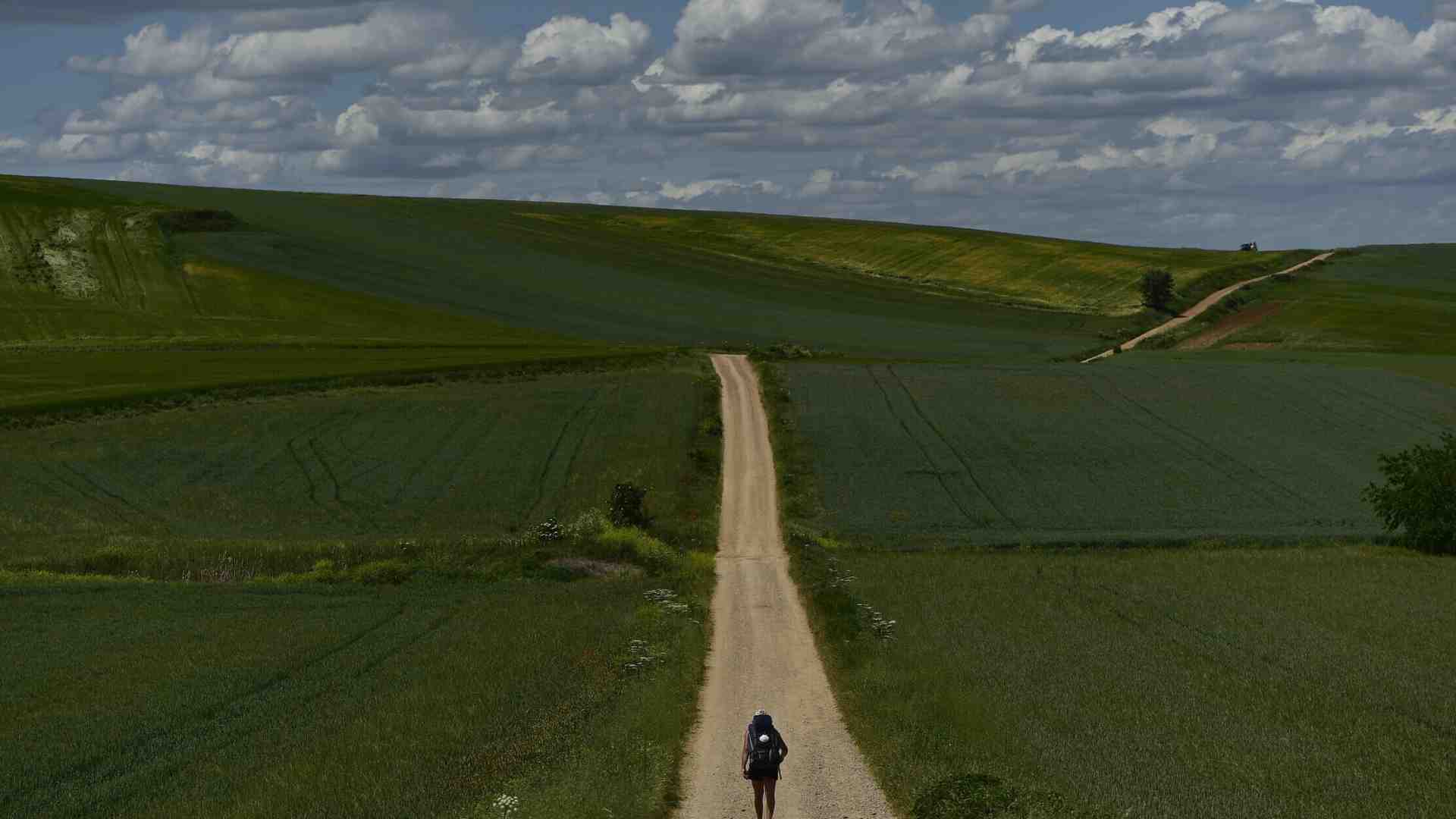 Immagine di Un cammino lungo 30 giorni. Cronache dalla via per Santiago