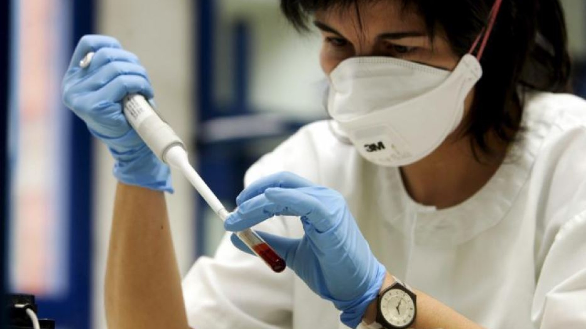 Immagine di L'aviaria sorvegliata speciale. La sfida di evitare una nuova pandemia