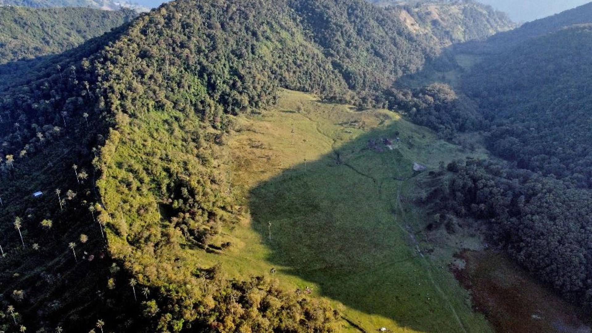 Immagine di Nel 2023 uccisi 200 attivisti ambientali, quasi tutti in Sudamerica