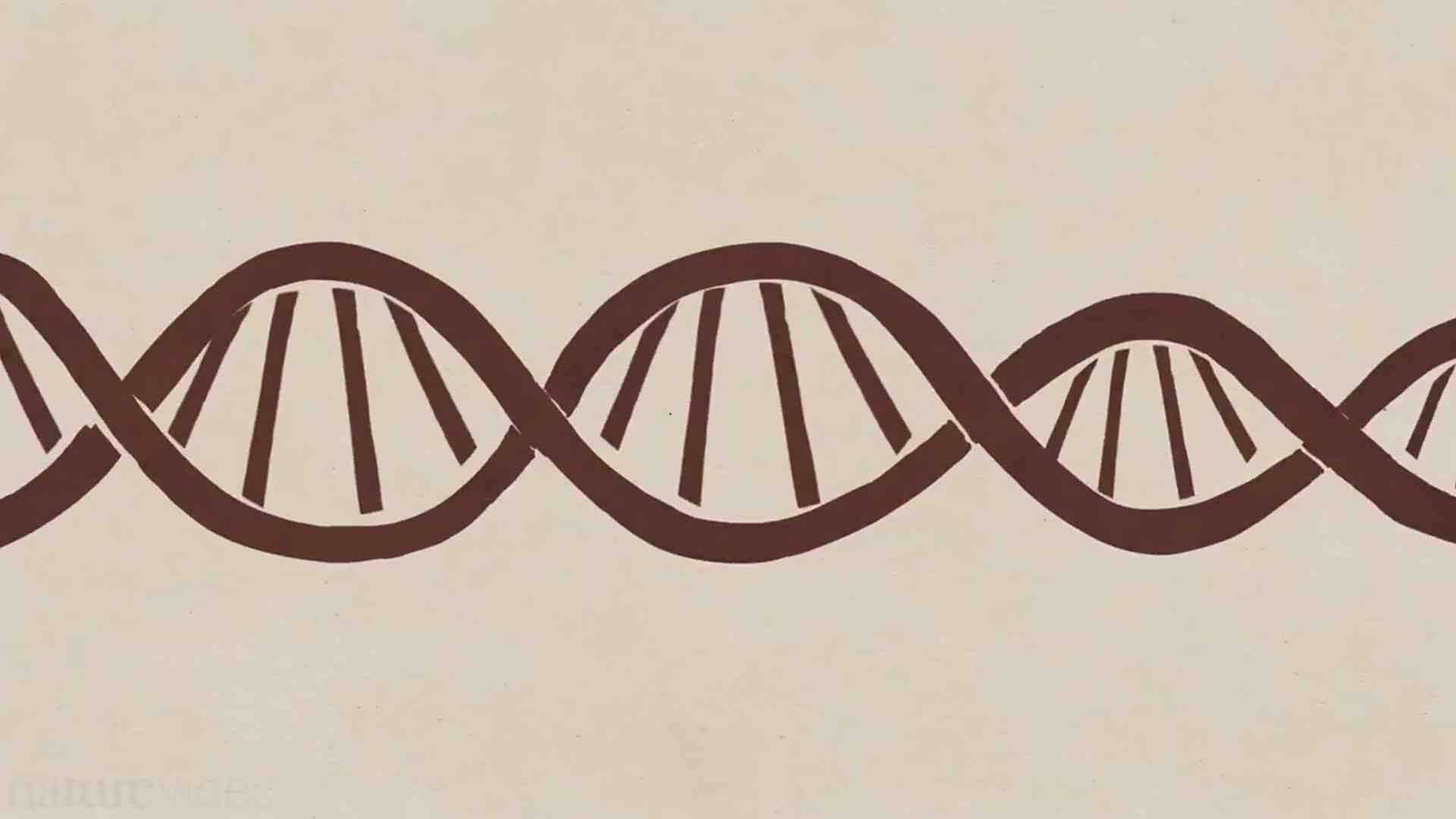 Immagine di Quantofuffa: dal mondo dei quanti a Wanna Marchi