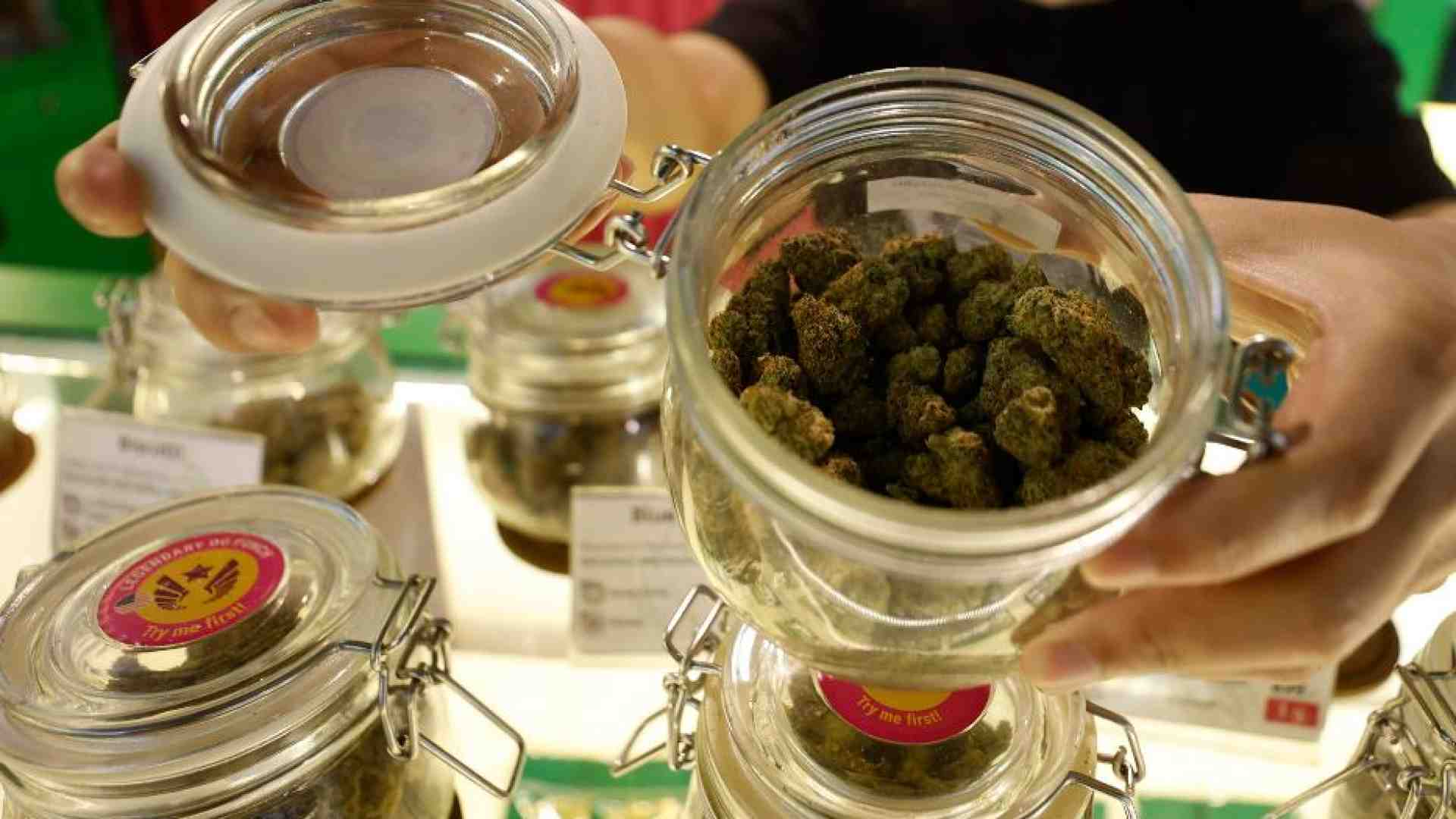 Immagine di Cannabis e Cbd: il Tar del Lazio complica le cose. Ma chi pensa alla salute?