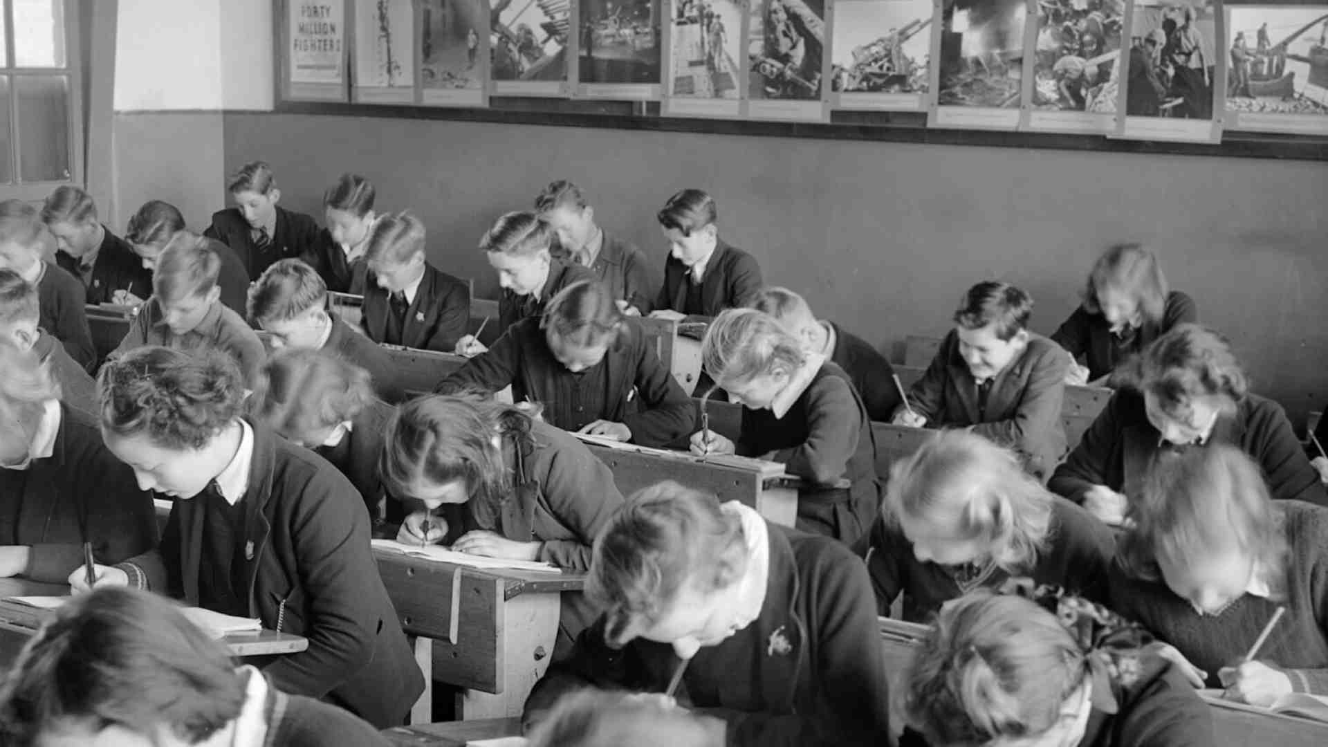 Immagine di Quanti fieri autodidatti in politica che dicono: "Io non prendo lezioni da nessuno"