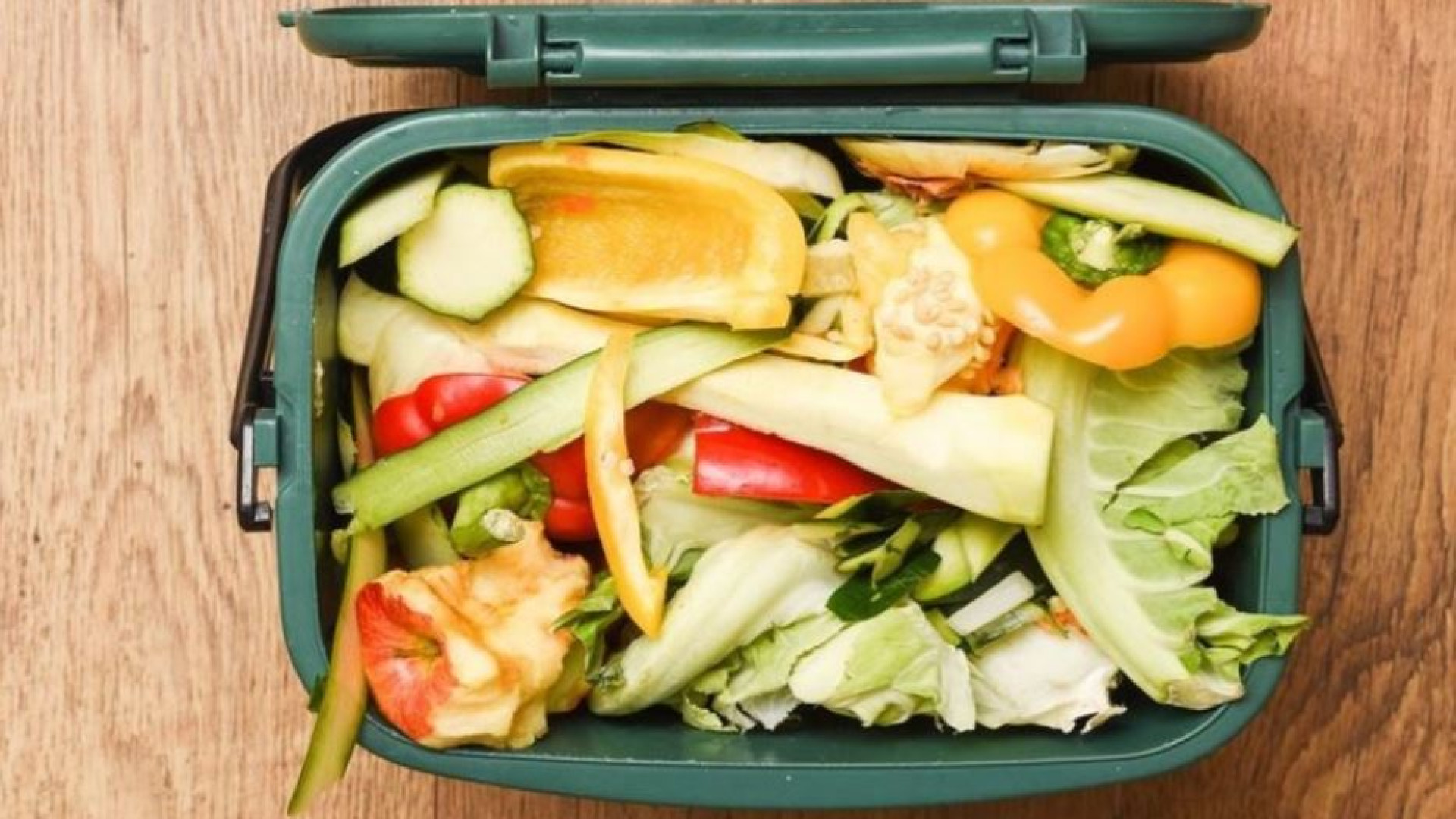 Immagine di Spreco alimentare, in Italia in crescita del 45% in un anno