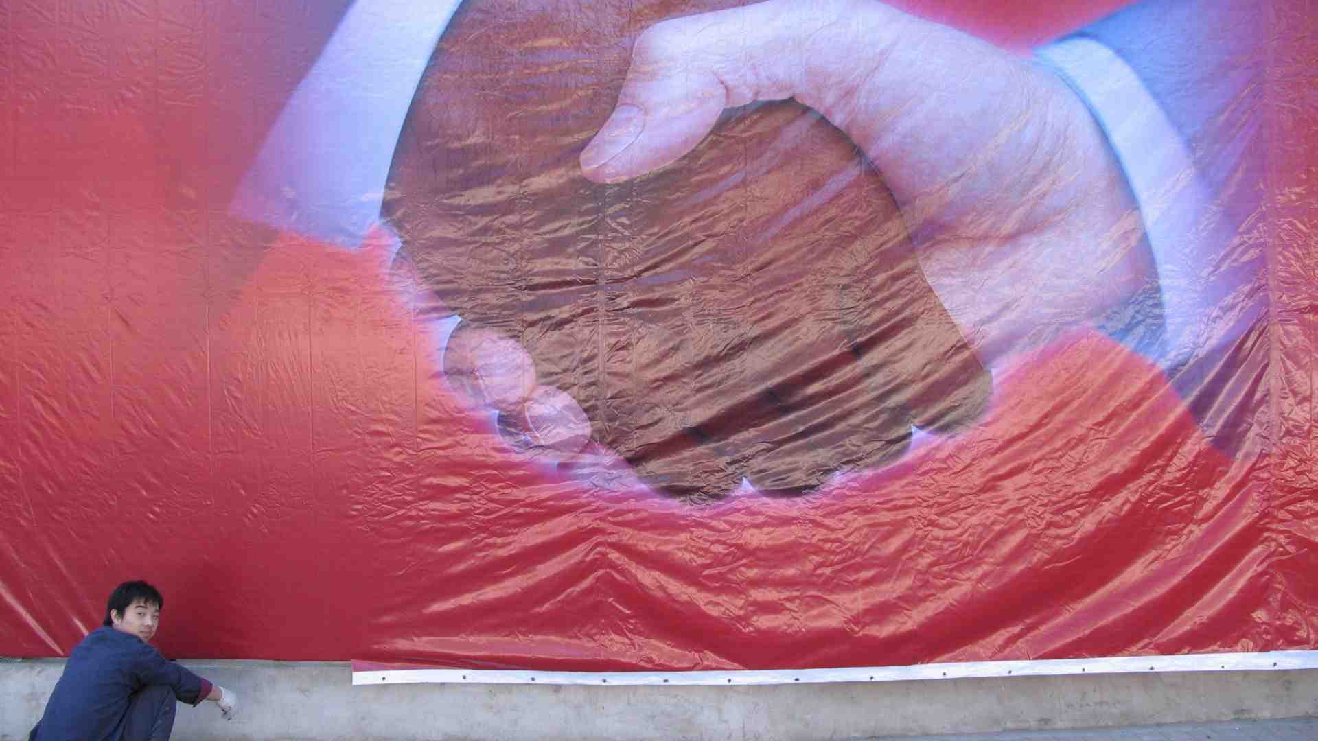 Immagine di La campagna d'Africa di Pechino tra affari e politica