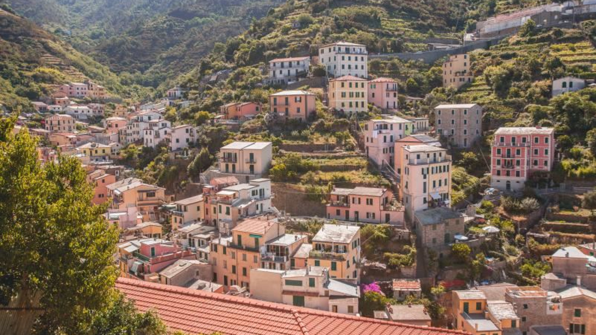 Immagine di Nelle Cinque Terre rifugiati al lavoro: dalla vigna speranza e dignità