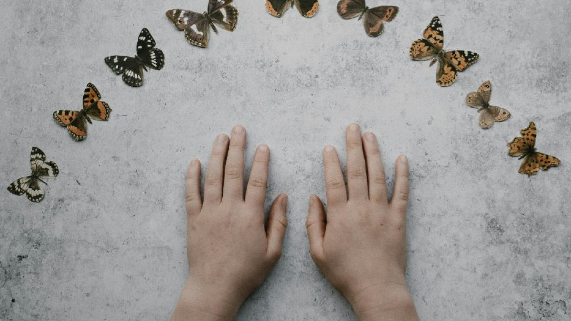 Immagine di Contare sulle dita aiuta i bambini con la matematica