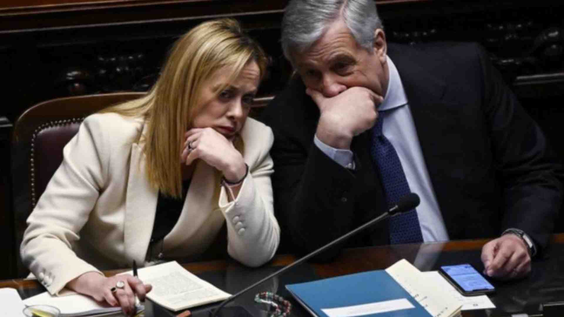 Immagine di Le mosse di Meloni, il ruolo di Forza Italia: la corsa per occupare il Centro