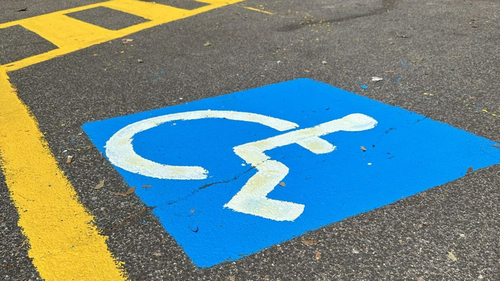 Immagine di Cancellato il commissario per l’Uguaglianza. «Per i disabili un passo indietro»