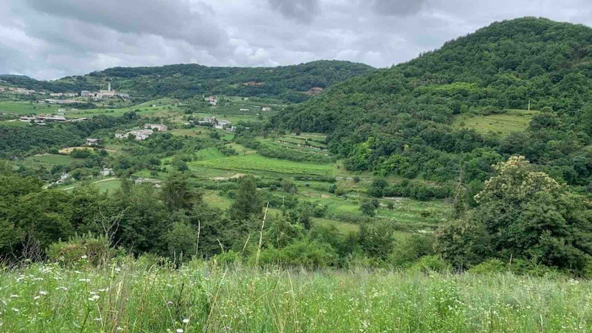 Immagine di Attorno a Cerna il fitto verde incontra la fresca Valsorda