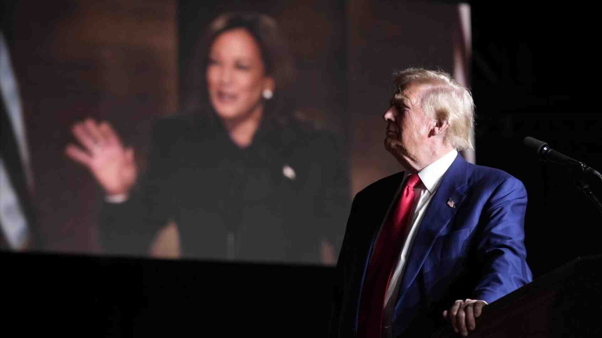 Immagine di La politica di cani e gatti, dal Terzo Reich alle presidenziali americane