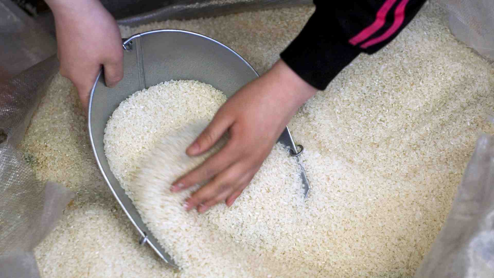 Immagine di Dal riso cambogiano all'acciaio cinese, nuovi fronti per la guerra dei dazi