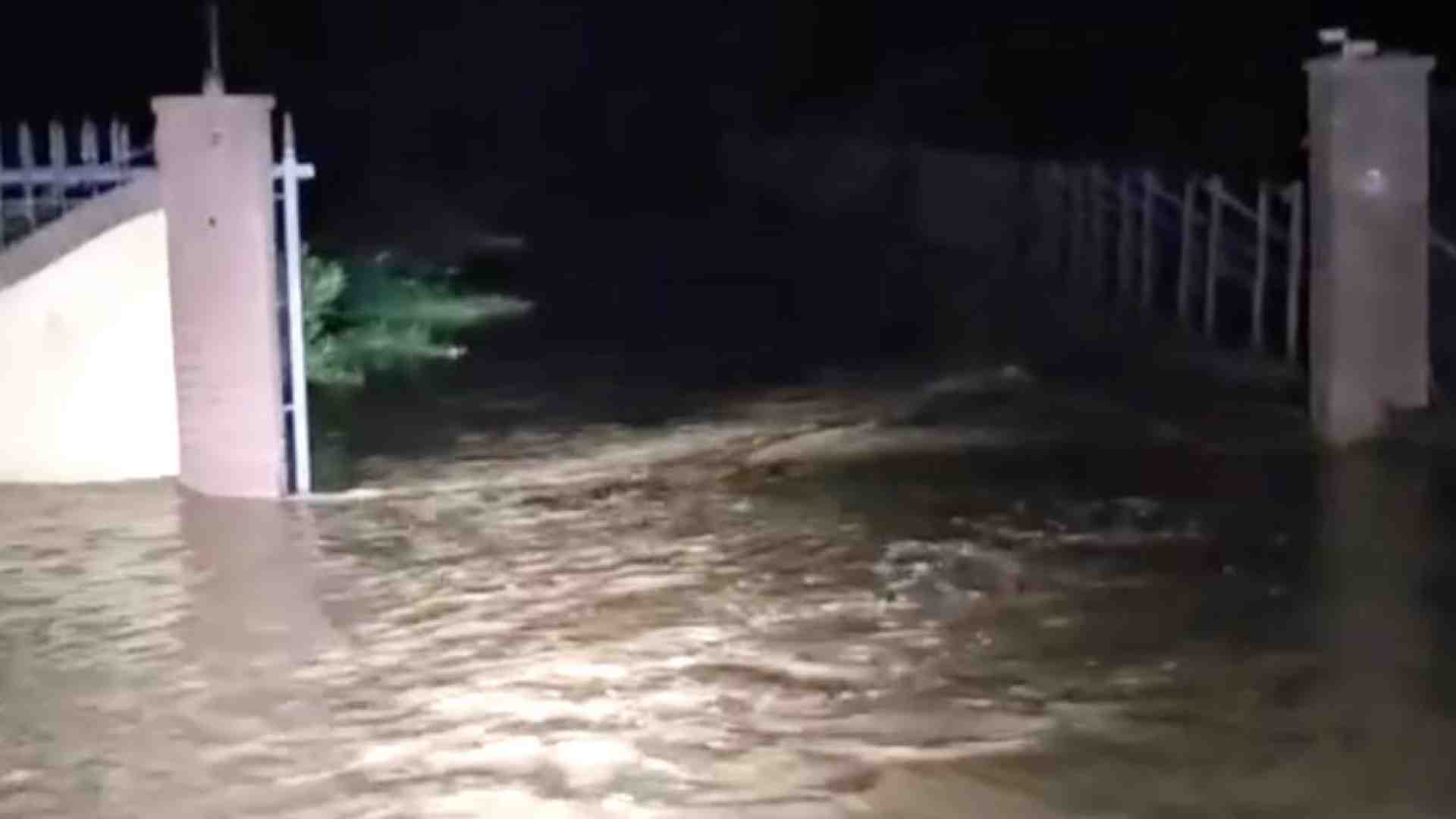 Immagine di In Toscana si cercano due dispersi: nonna e nipotino