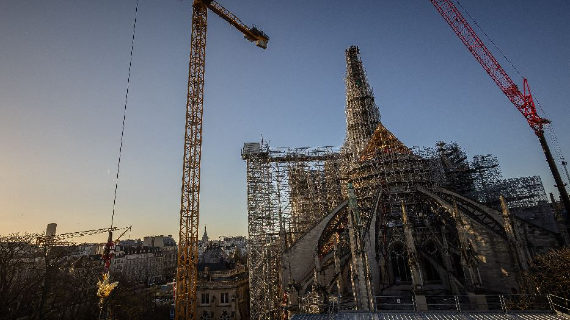 Immagine di Ulrich: la rinascita di Notre-Dame, segno d'unità fra popoli e religioni