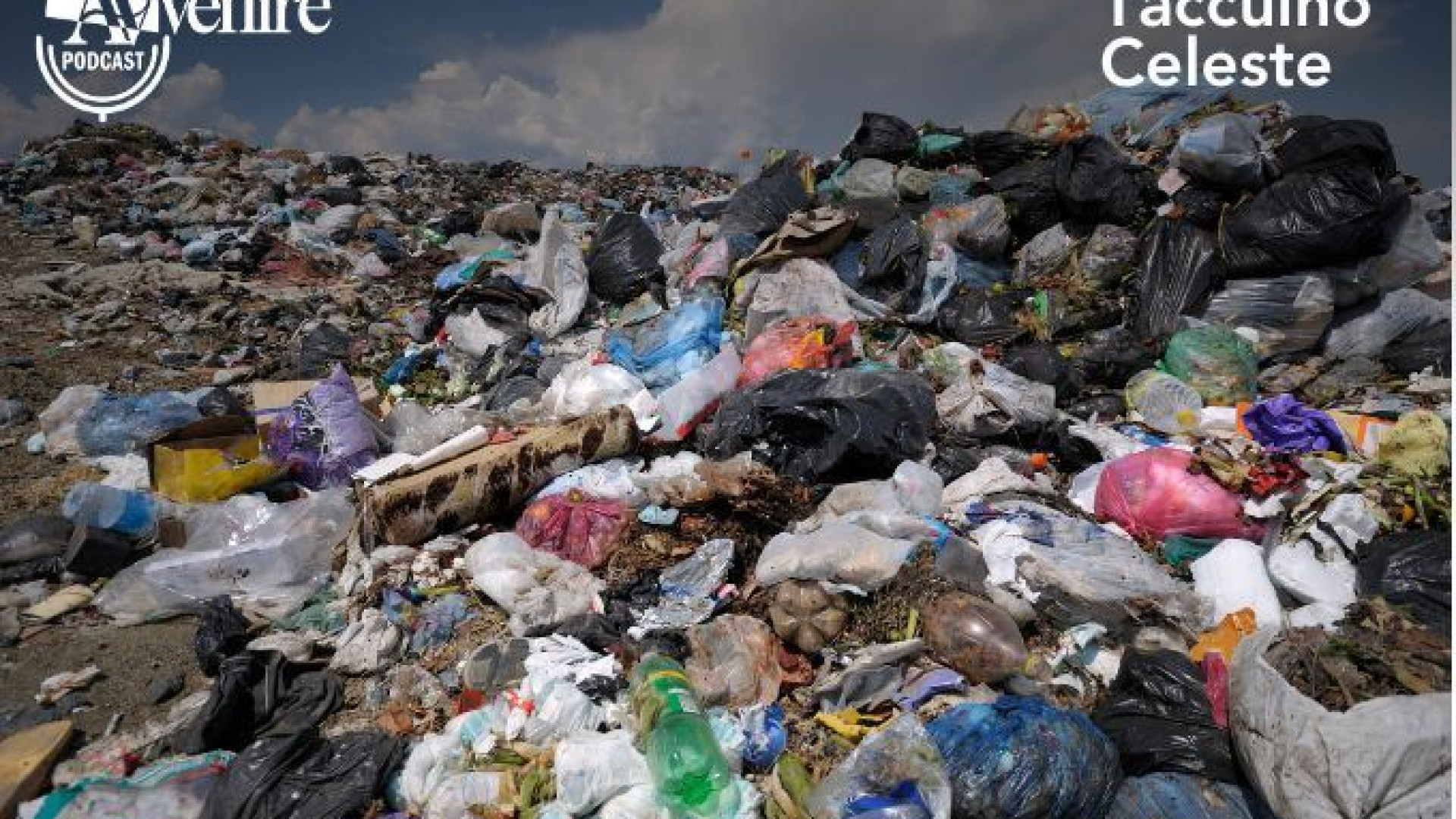 Immagine di Il peccato ecologico