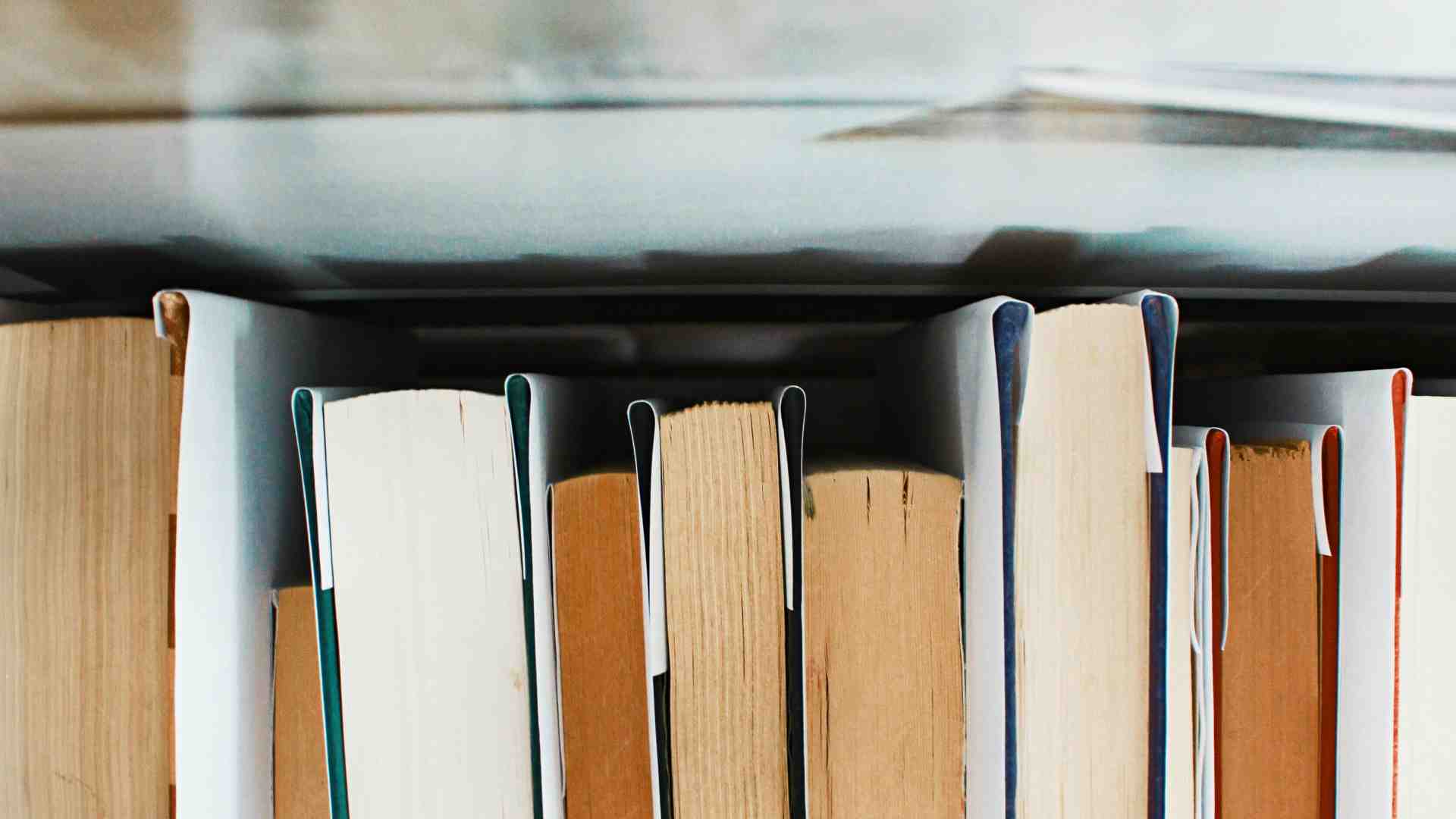 Immagine di Se quel che resta del woke è solo un'inondazione di libri brutti