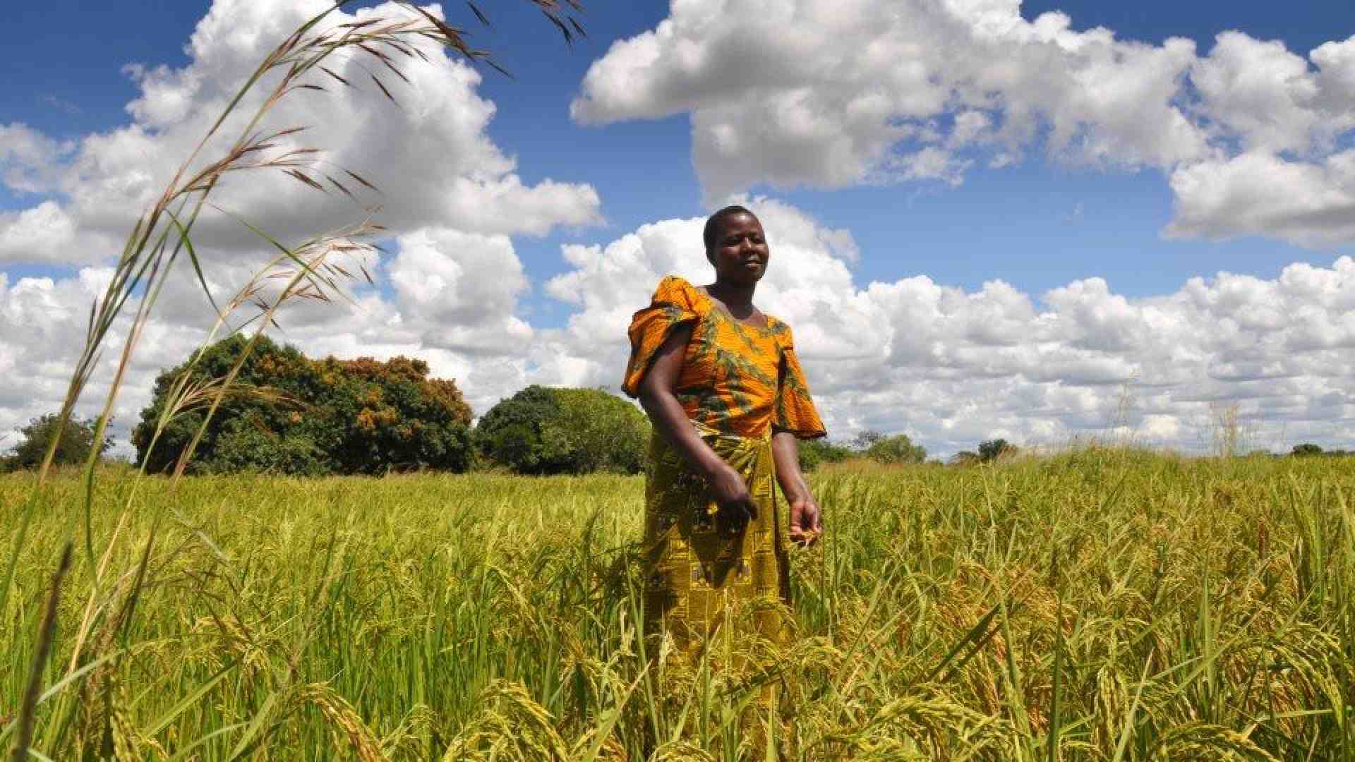 Immagine di G7 agricoltura, investimenti e diplomazia: l'Africa tra clima e speculazione