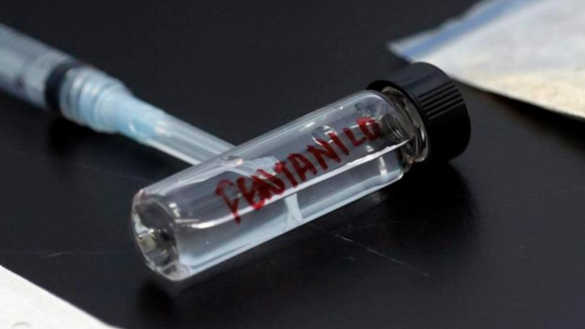 Immagine di Informazioni e schede: la lotta al Fentanyl comincia a scuola
