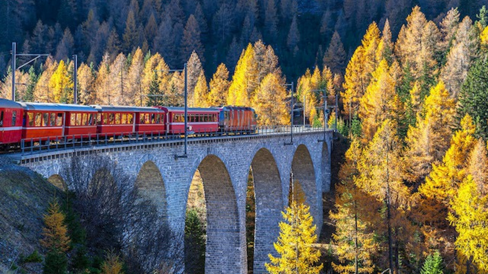 Immagine di Sul Treno del Foliage