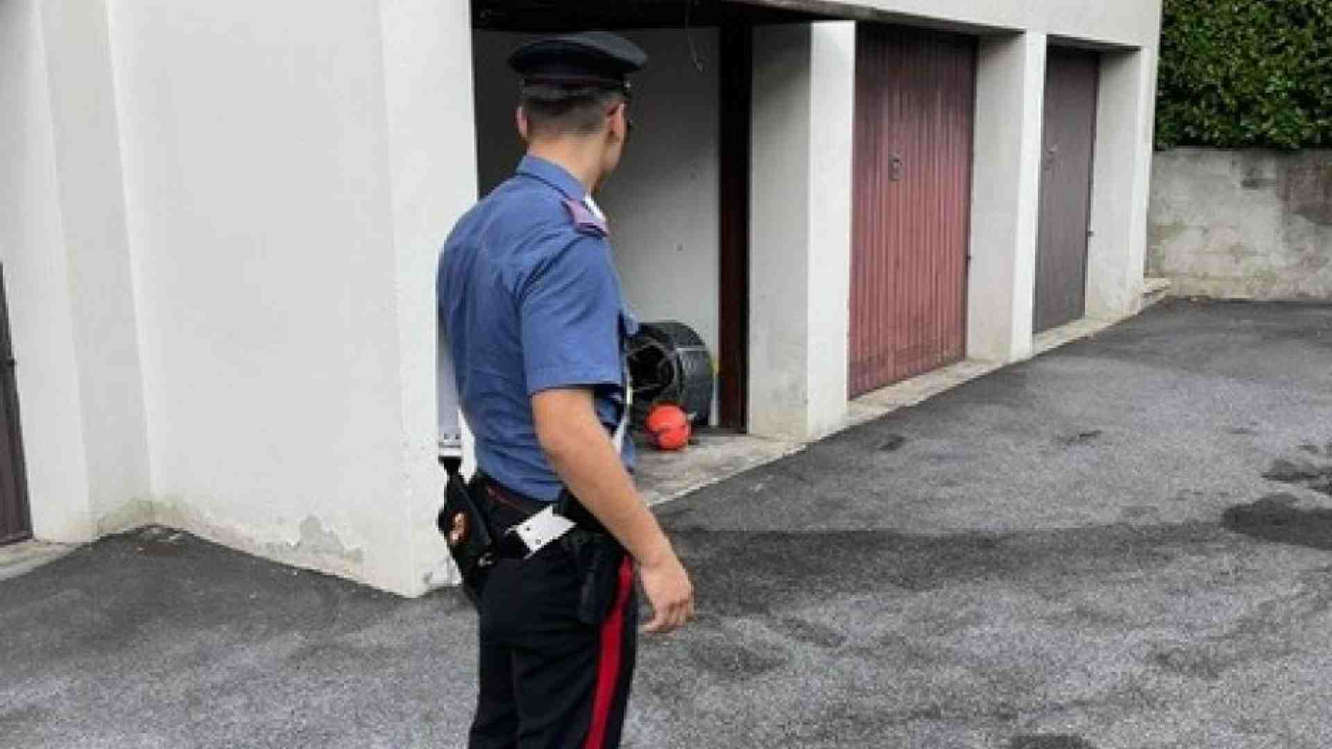 Immagine di Paderno, Cesano, Viadana: quei giovani violenti senza un perché