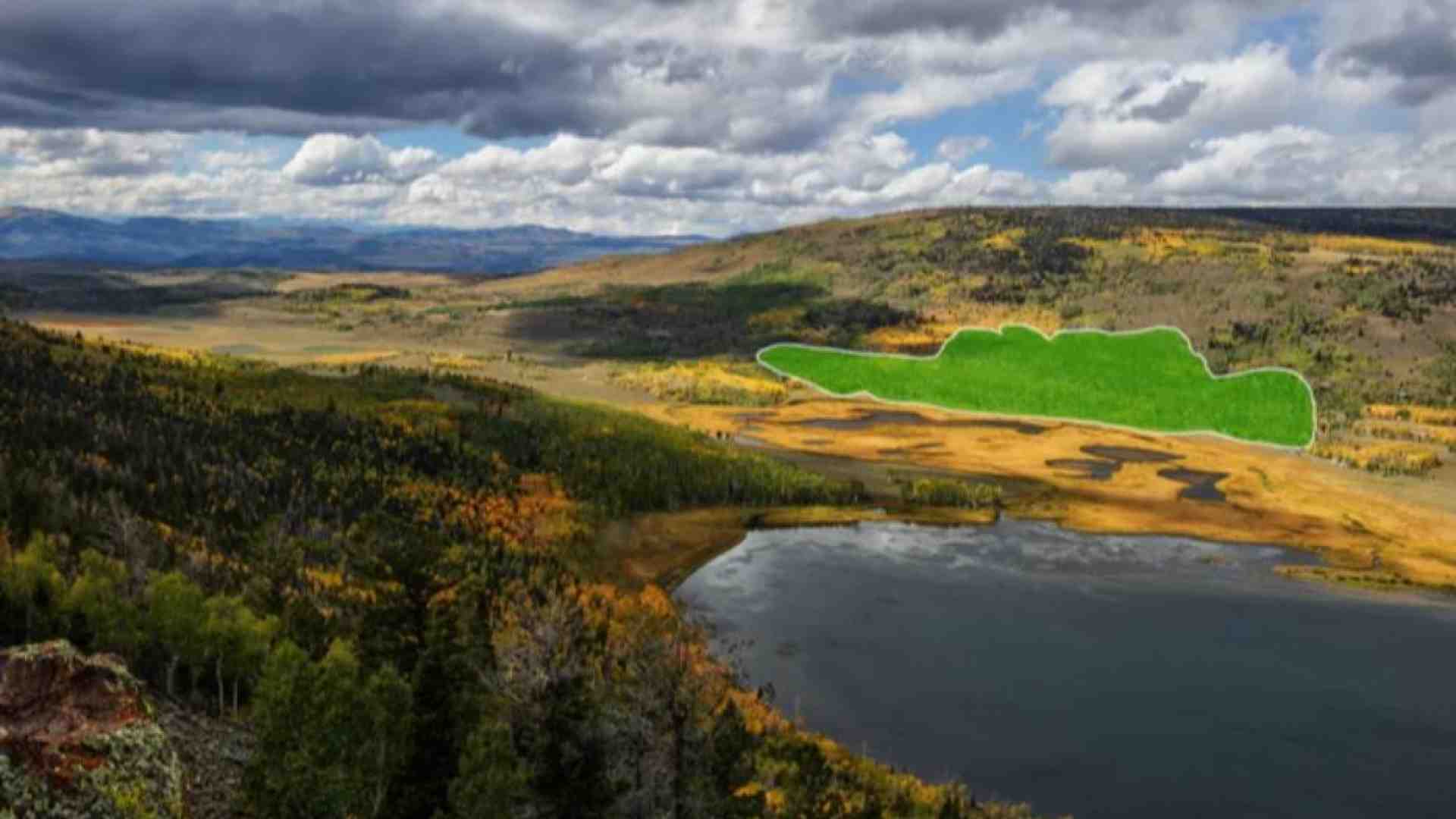 Immagine di Pando rischia di morire: è l'essere vivente più grande del mondo
