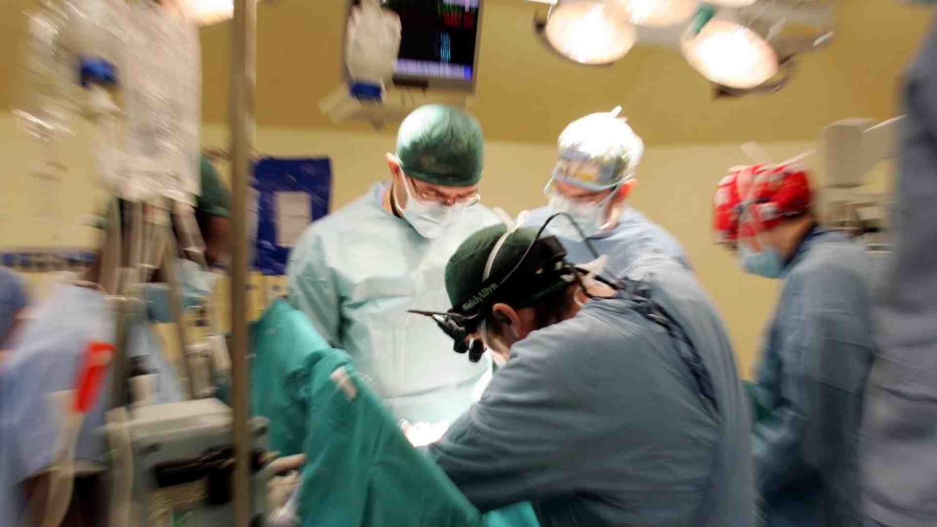 Immagine di Trapianti quadruplicati, perché l’Italia è cresciuta così tanto in trent’anni