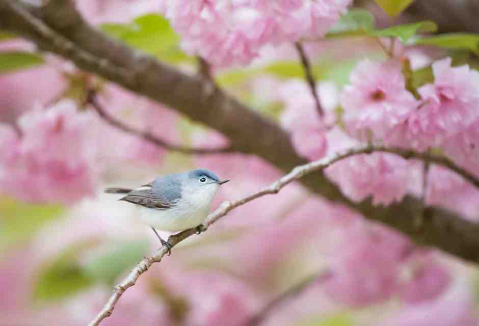(foto di&nbsp;Ray Hennessy su Unsplash)<br />