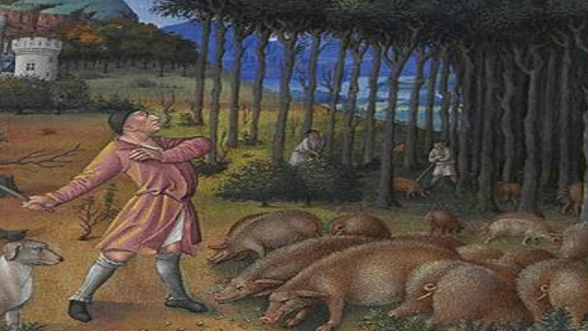 Immagine di Perché “del maiale non si butta niente”