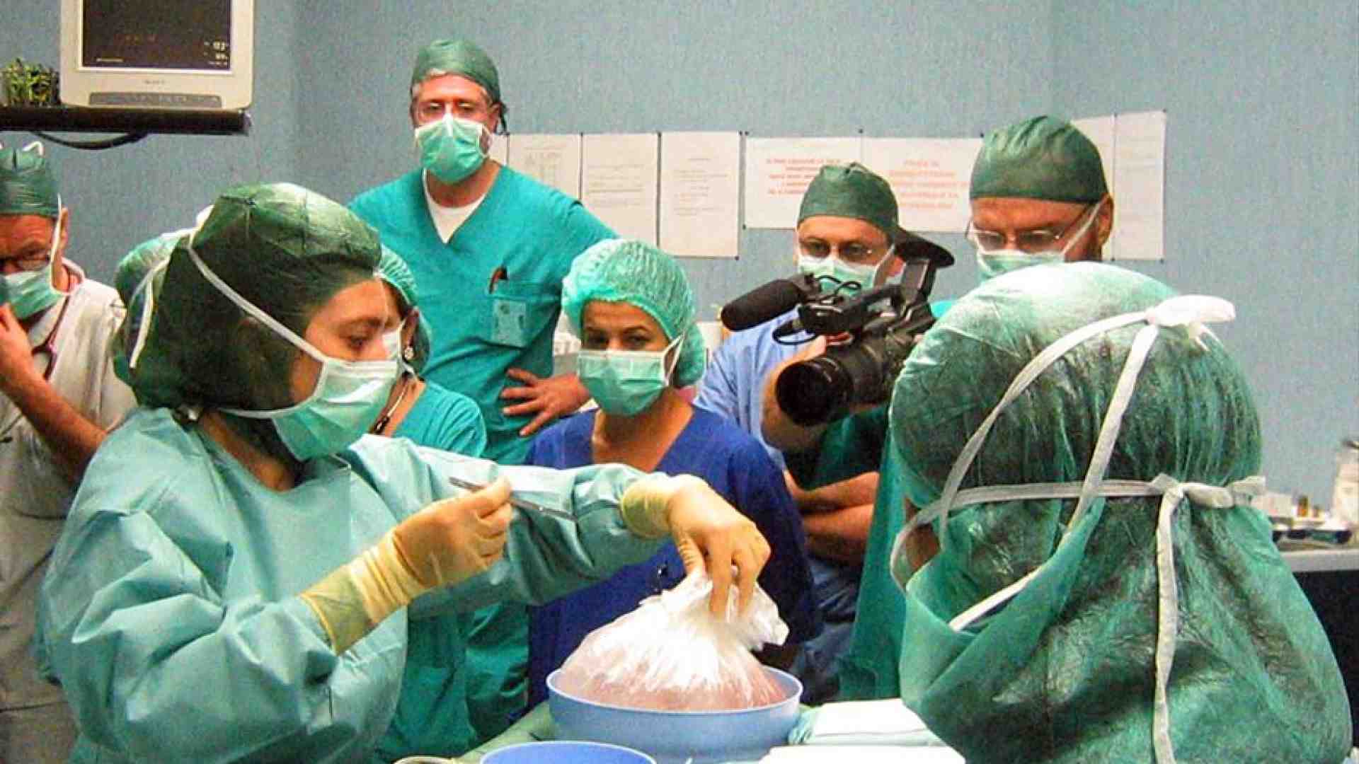 Immagine di Crescono le donazioni di organi e calano i tempi di attesa per un trapianto