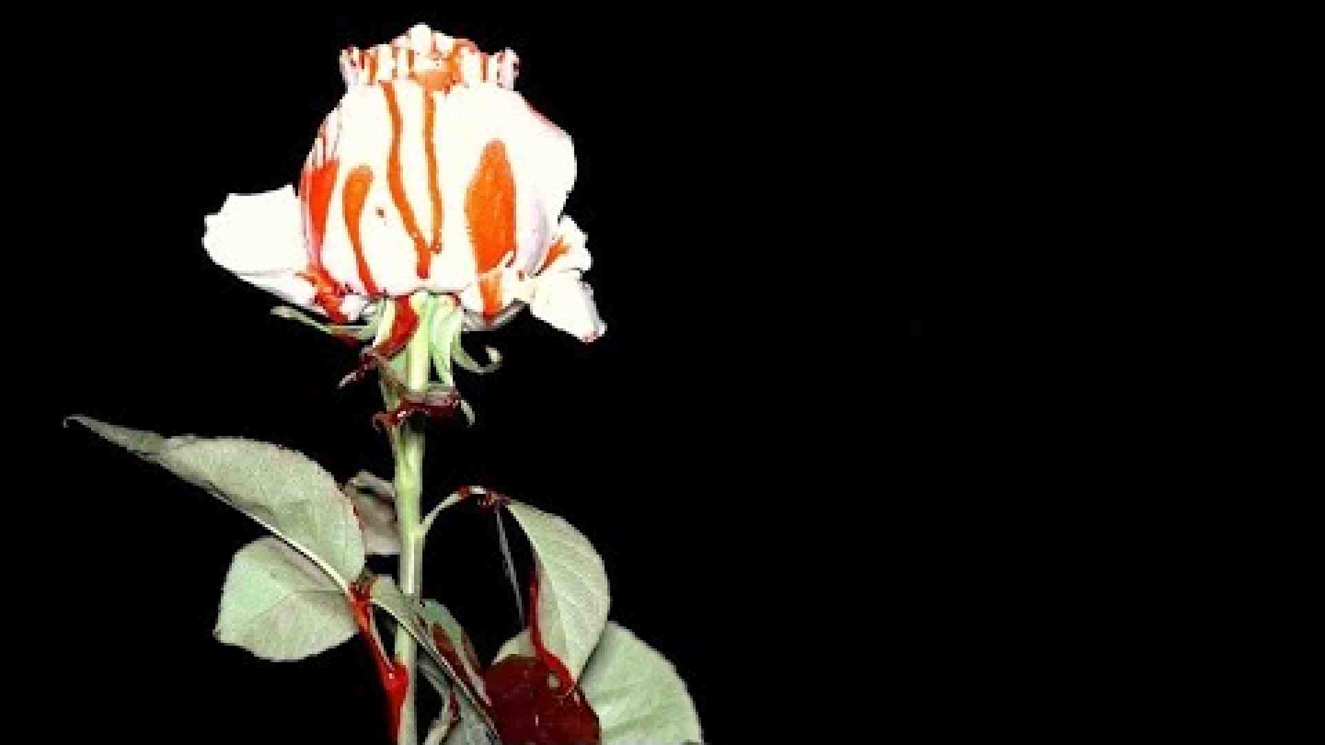Immagine di Un sacerdote e il superboss: un libro (anche) su Caino e Abele
