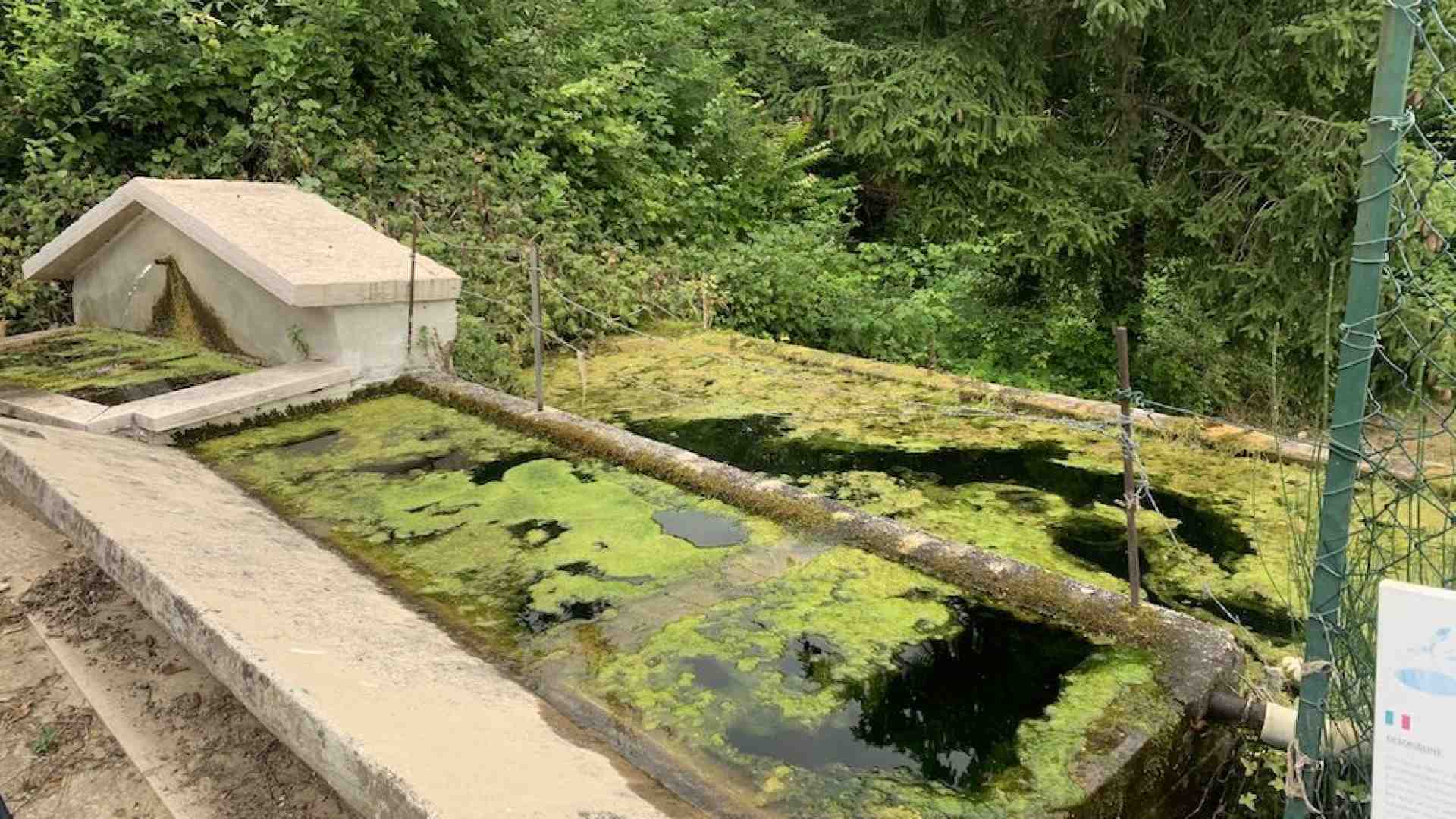 Immagine di A Pesina sulle Vie dell’acqua