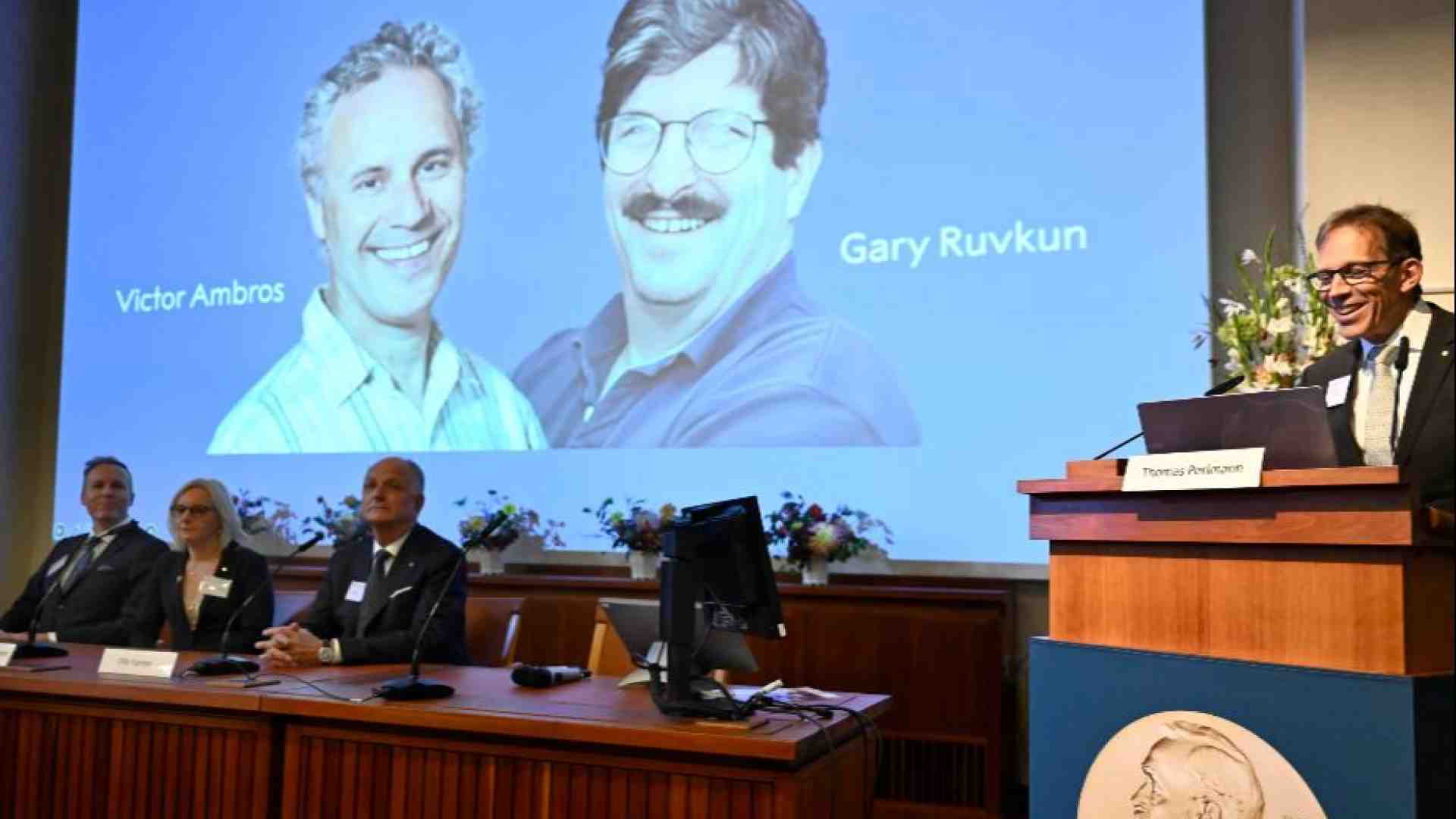 Immagine di La scoperta dei “geni interruttori” vale il Nobel ad Ambros e Ruvkun