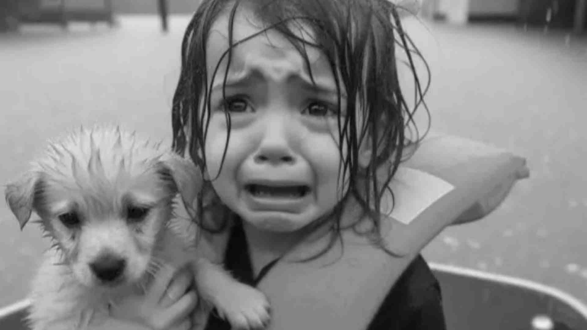 Immagine di Bella storia, brutta bufala: la foto (falsa) della bambina vittima di Helen