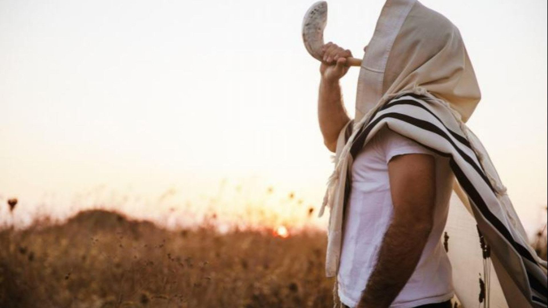 Immagine di Il dialogo tra ebrei e cattolici? Un antidoto alla violenza e radice di pace