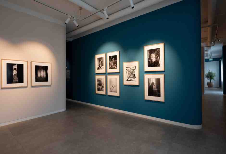 La mostra su Fosco Mariani - foto dal sito del Museo di Lugano