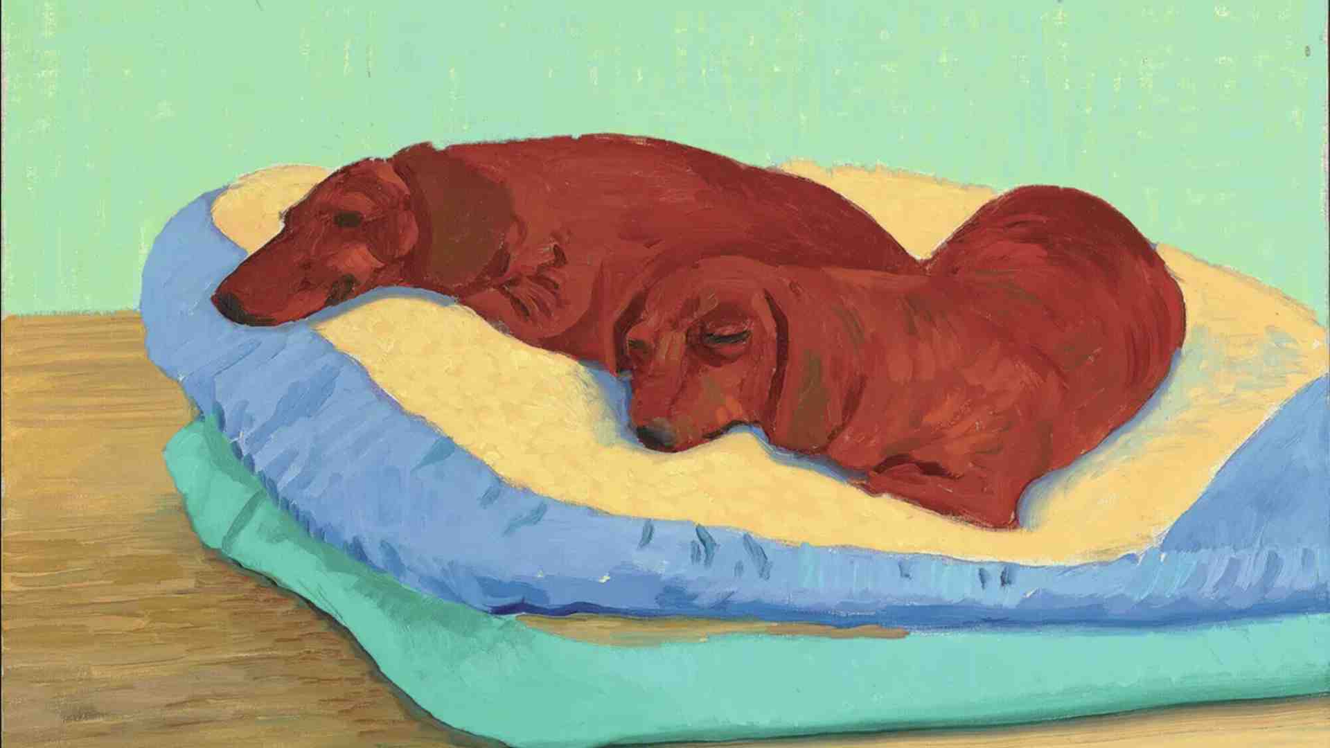Immagine di Cani degni d’essere raccontati