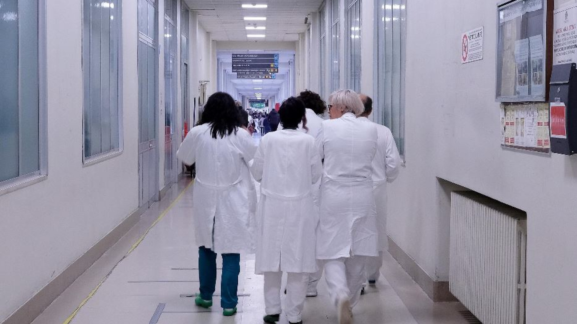 Immagine di I rettori: «Senza il test di Medicina il sistema non è più sostenibile»