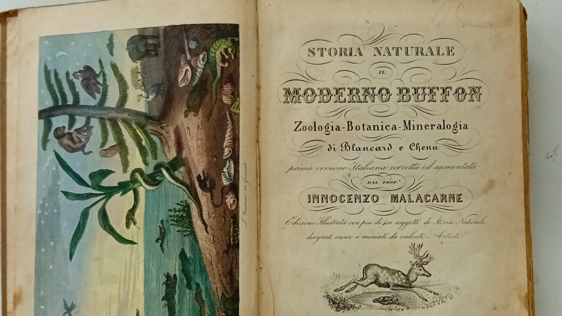 Immagine di Studio e passione, «Il libro è un impegno»