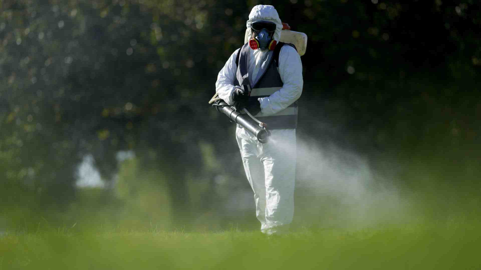 Immagine di E se usassimo il Ddt per debellare la dengue?