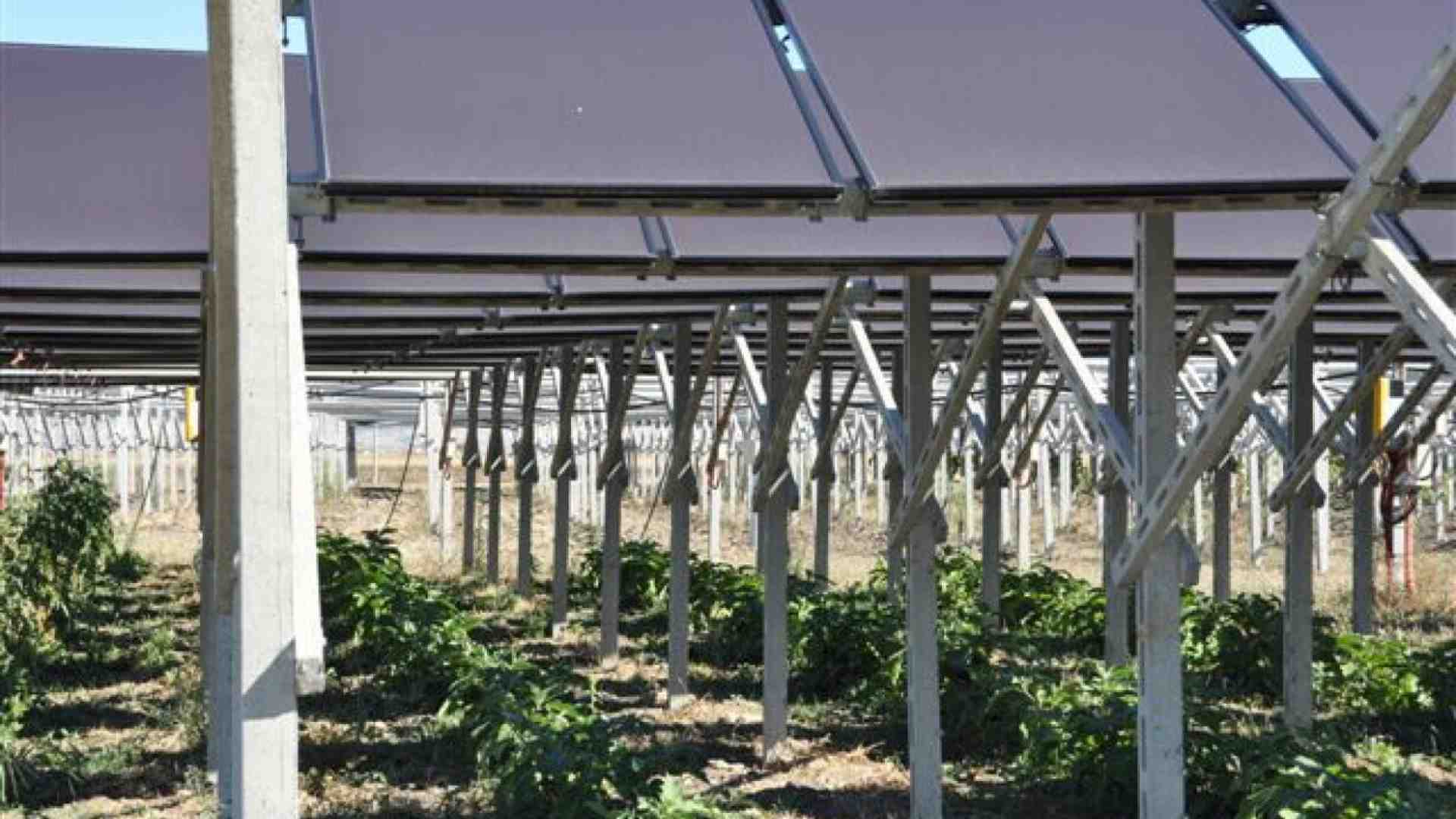 Immagine di Il problema delle rinnovabili non è il nucleare ma il nuovo Nimby