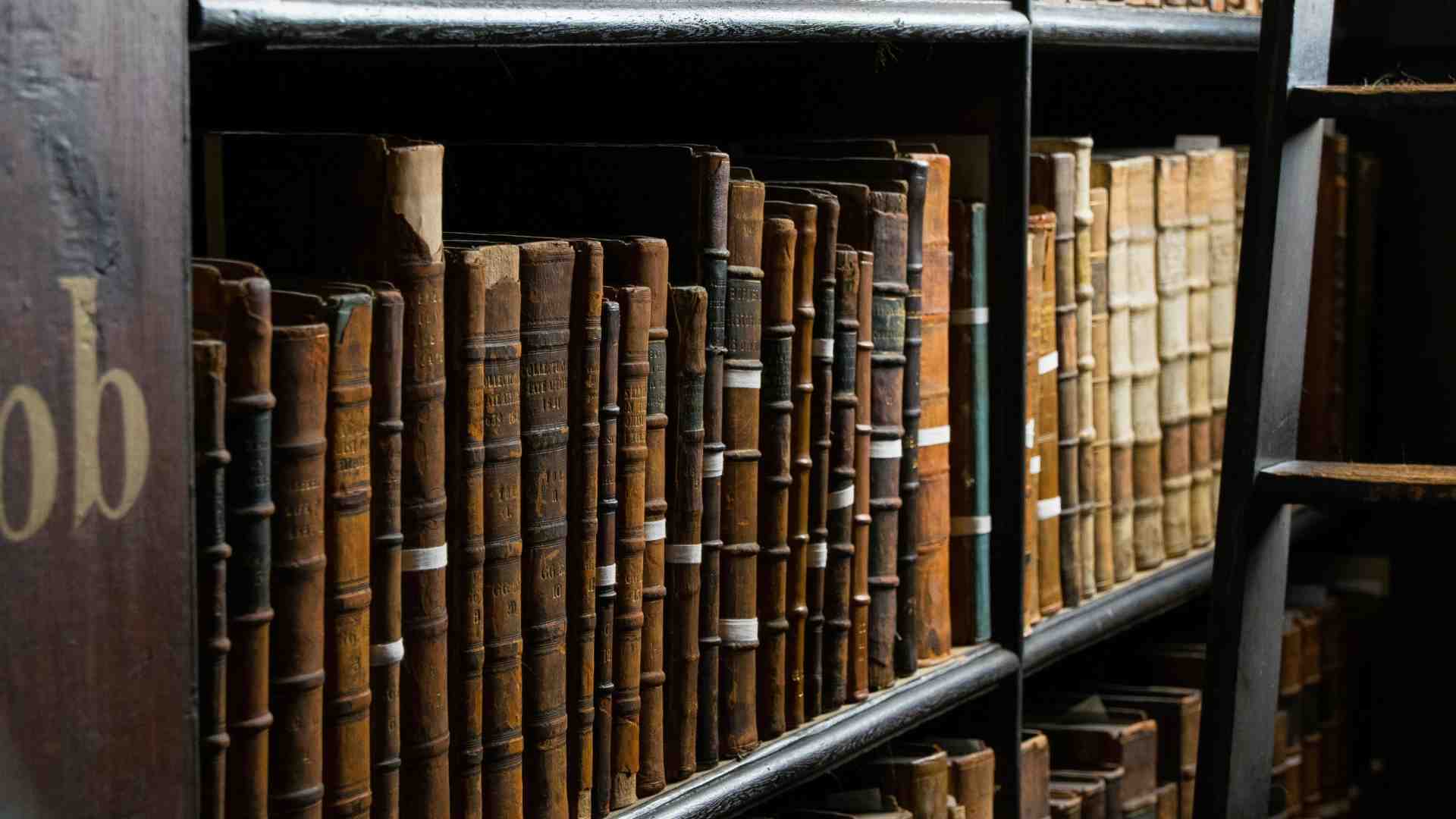 Immagine di Le pagine imprescindibili che hanno seguito i viaggi e i traslochi di una vita