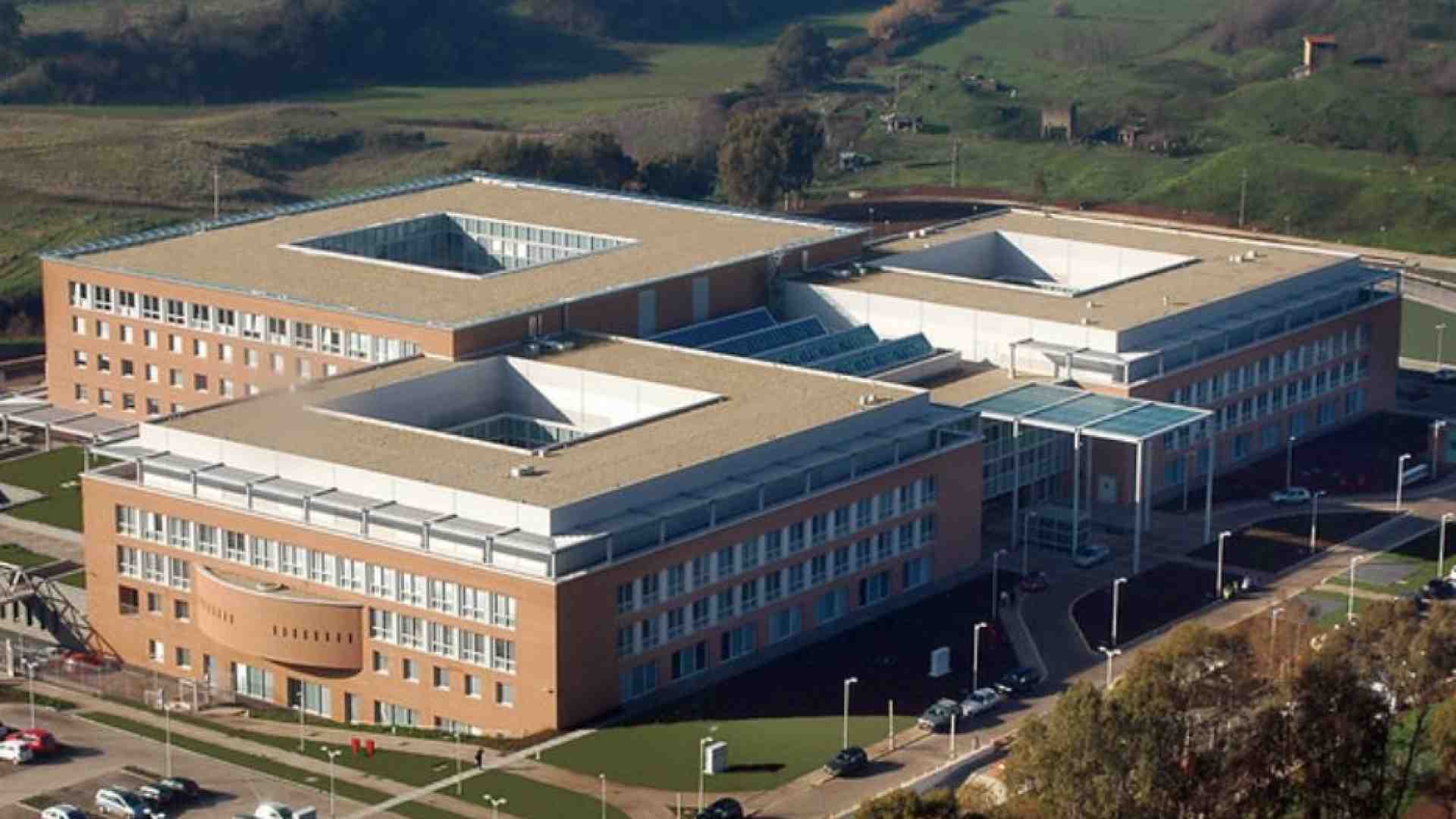 Immagine di Nel regno delle protesi e della “medicina riparativa"