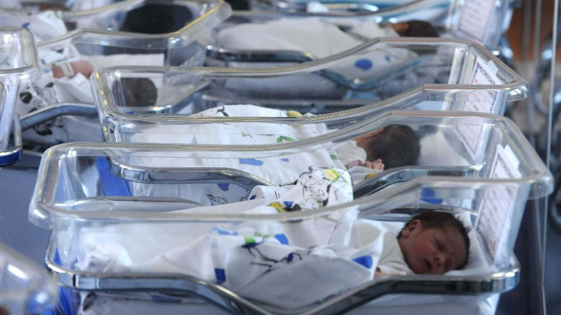 Immagine di Non s'arresta il crollo delle nascite in Italia: nel 2023 sono state 379.890