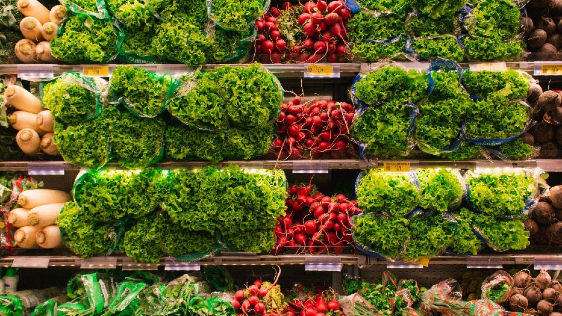 Immagine di Gusto e sostenibilità: cresce la sensibilità ambientale nel fare la spesa
