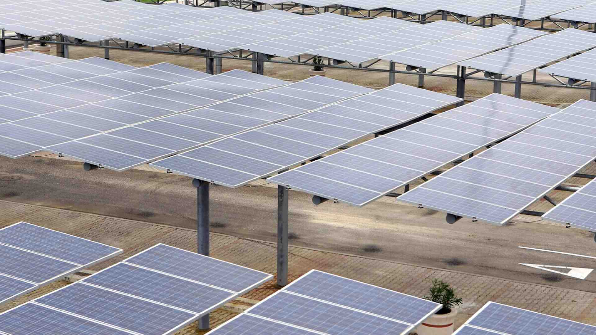 Immagine di Ecologismo razionale e libero mercato. Una risposta