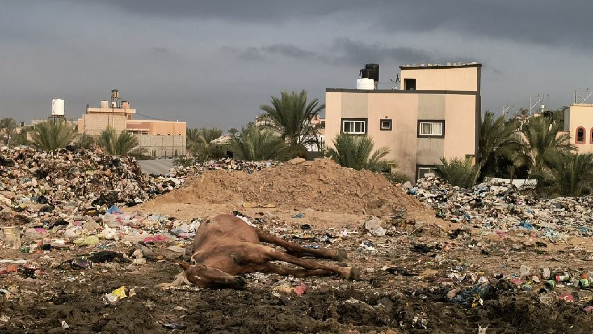 Immagine di «Gaza è sommersa di rifiuti. Anche ospedalieri»