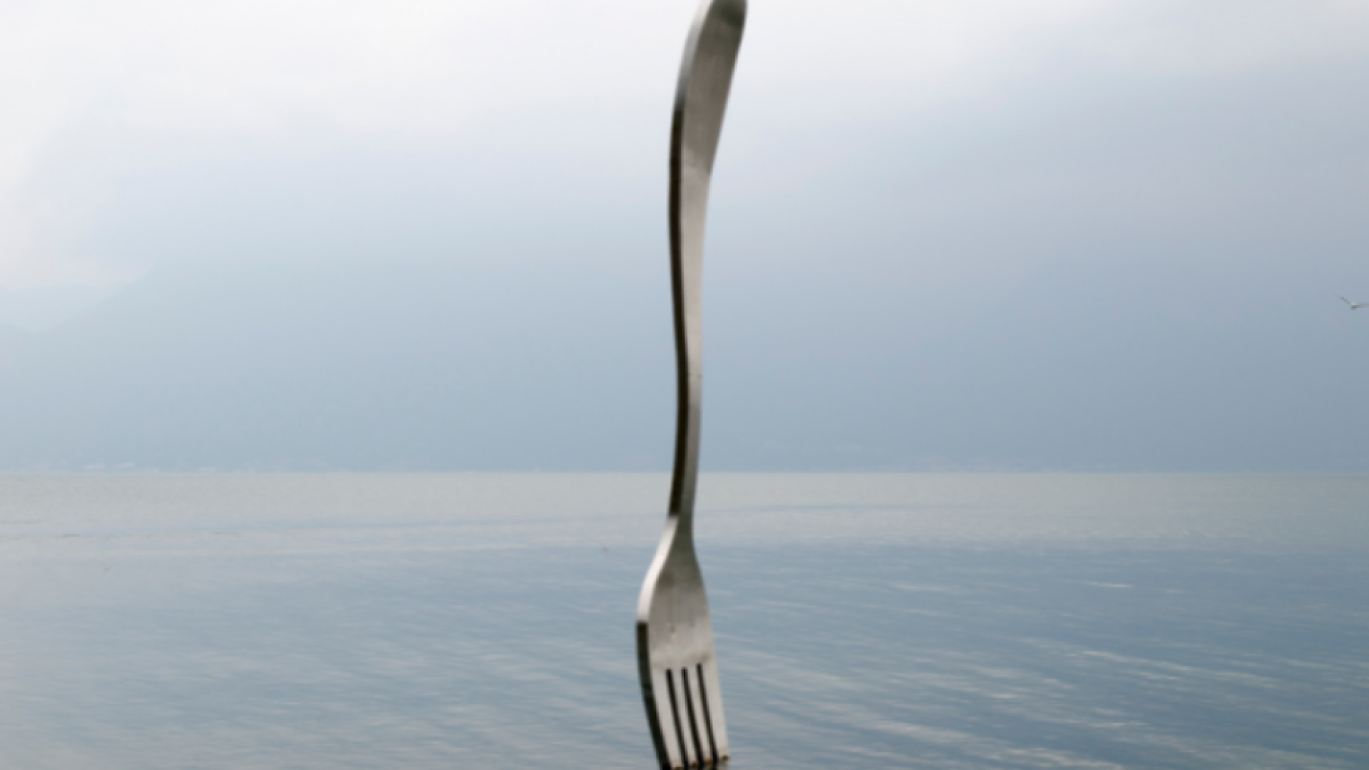 Immagine di Dalla poesia alla “teologia della forchetta”: i passaggi da non perdere