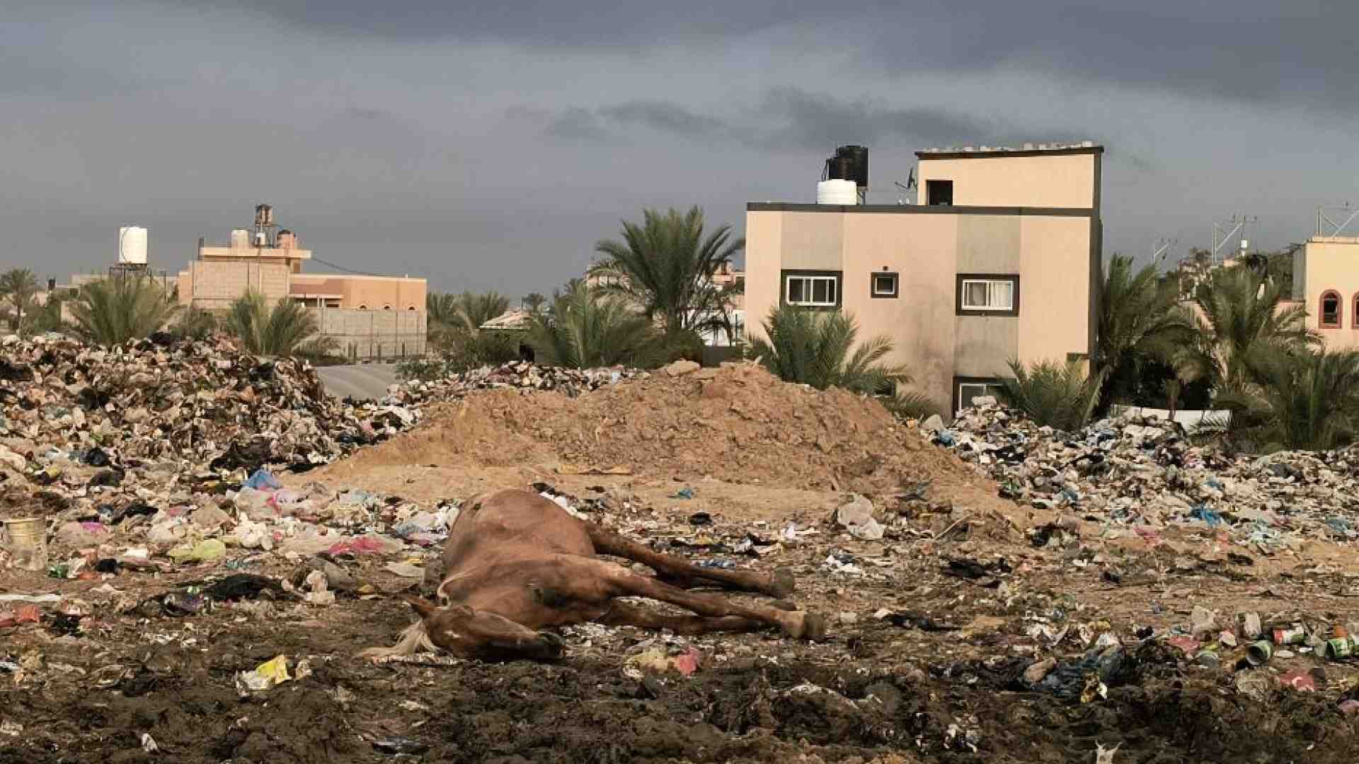 Immagine di «Gaza è sommersa di rifiuti. Anche ospedalieri»