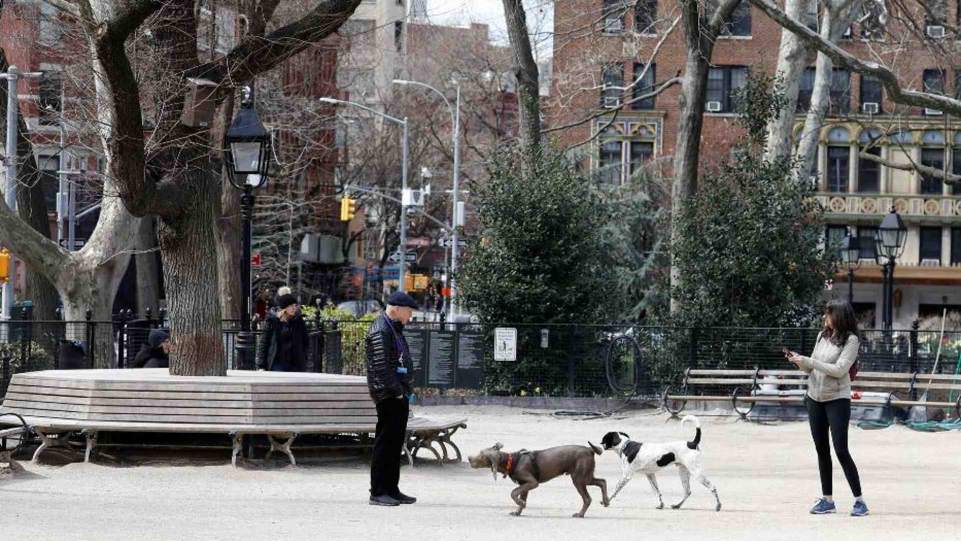 Immagine di Proposto a New York il congedo per malattia dell'animale domestico