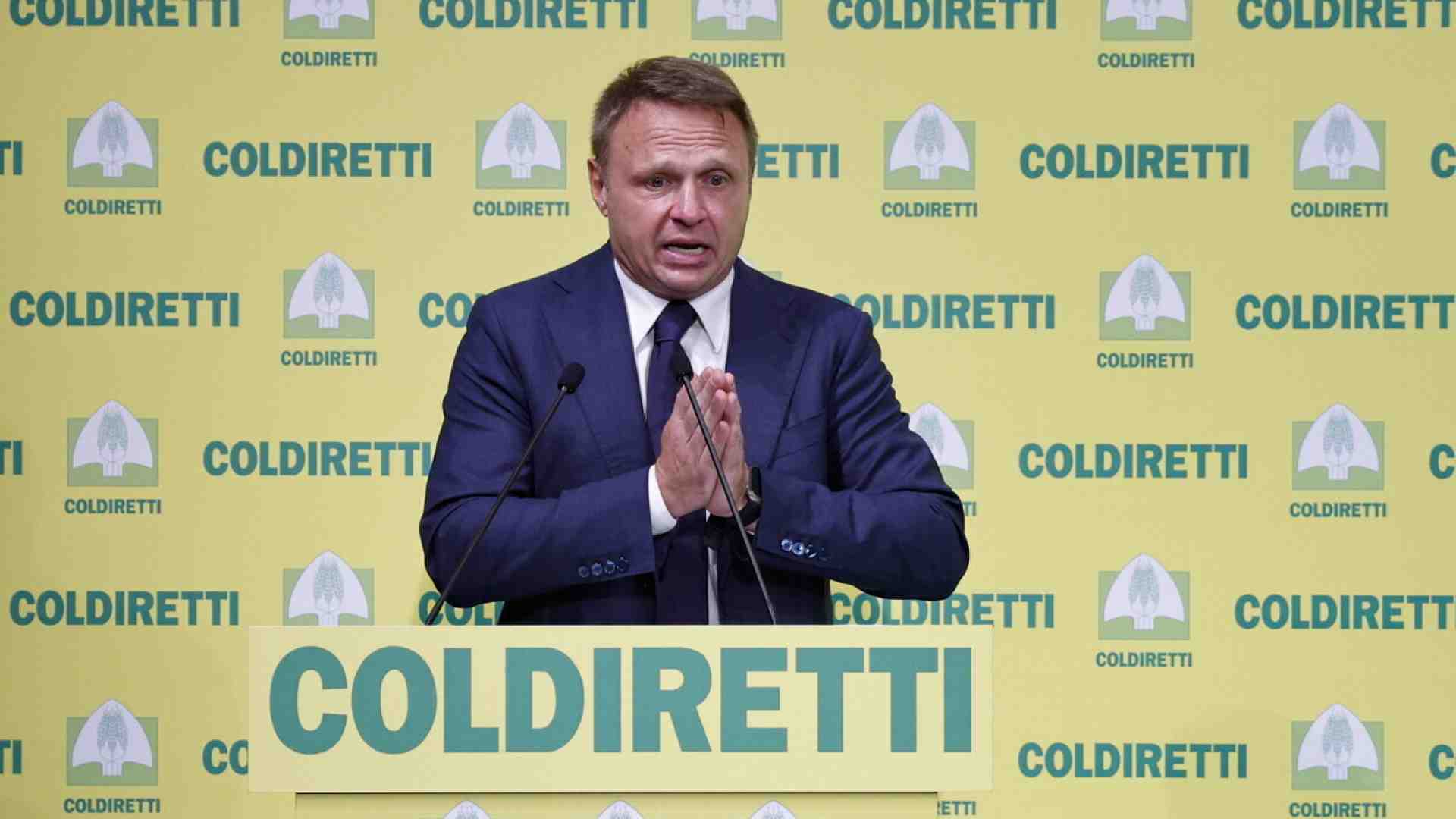 Immagine di Storia dei due schiaffi europei rifilati a Lollo sulla carne sintetica